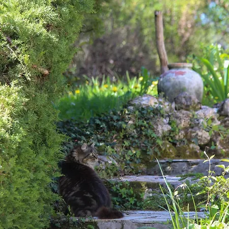 Domaine Le Petit Garem * Brantome